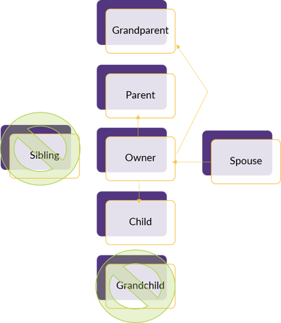 Marriage and Families: Relationships in Social Context (with
